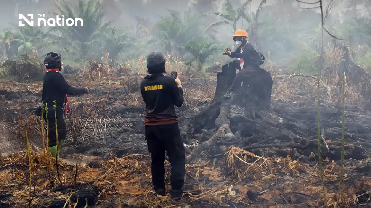 64 Ribu Hektare Hutan dan Lahan Terbakar dalam Seminggu, 4 Negara ASEAN Terdampak